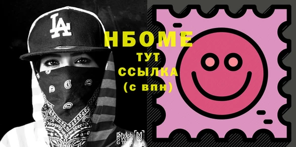 сатива Гатчина