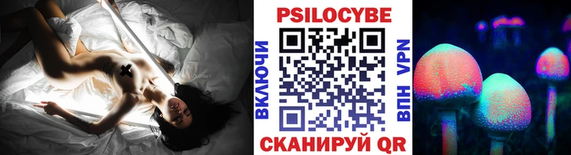 наркошоп  Красный Сулин  shop клад  Псилоцибиновые грибы Psilocybine cubensis 