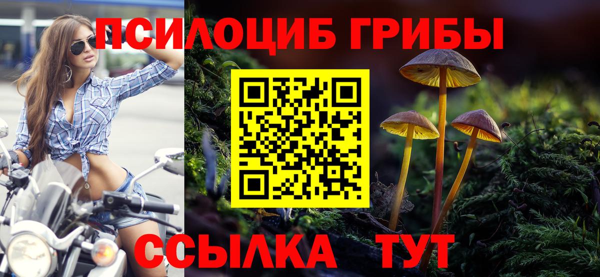 Псилоцибиновые грибы Magic Shrooms Красный Сулин